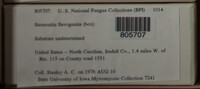 Image Associated With the Occurence